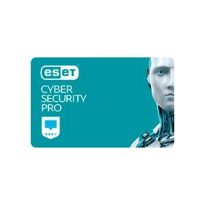 ESET Cyber Security Pro